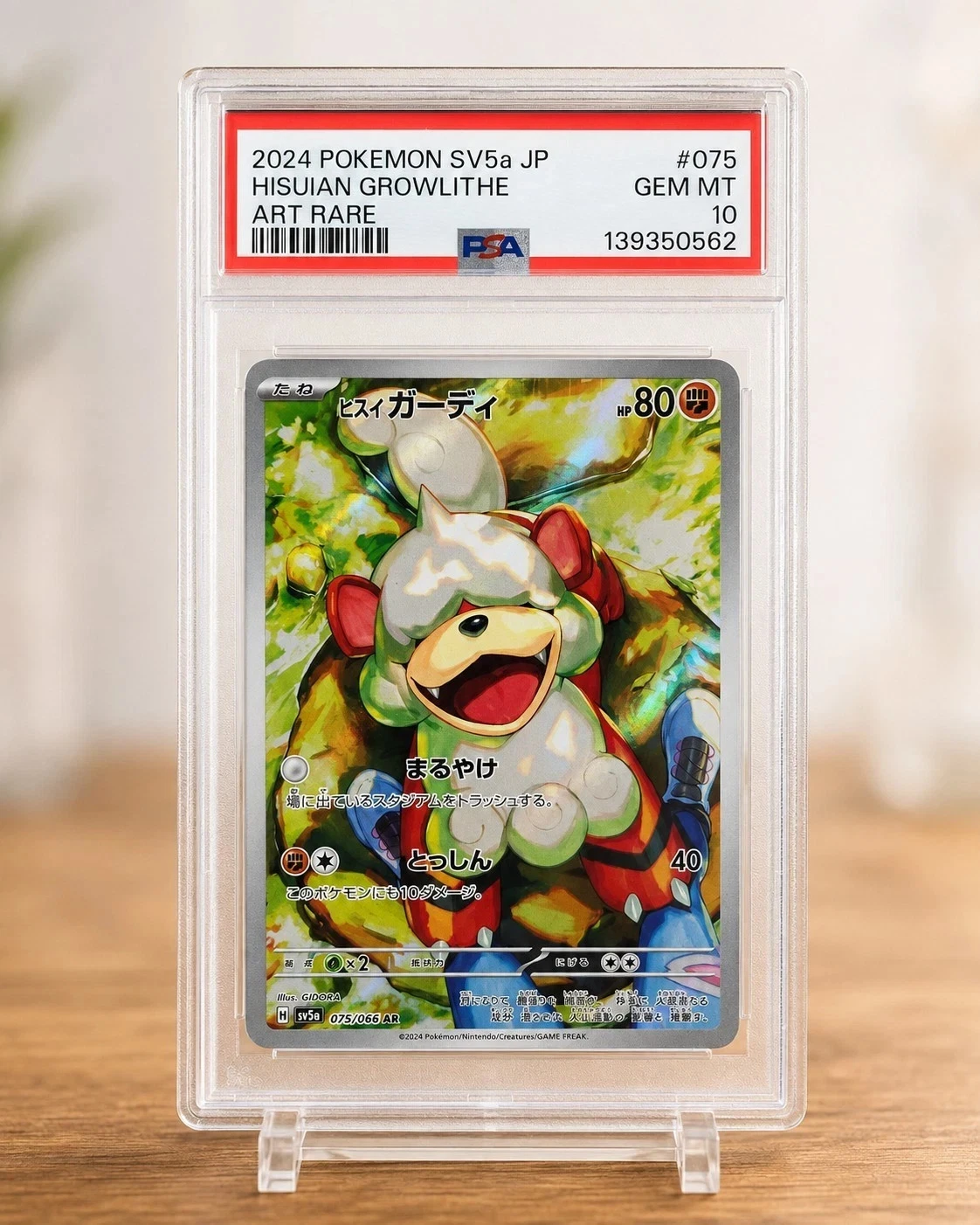 Hisuian Growlithe 075/066 Crimson Haze Japanese Pokémon Card PSA 10 Gem Mint